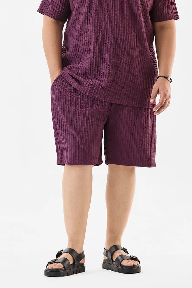 Regular Fit Polyester Textured Shorts
