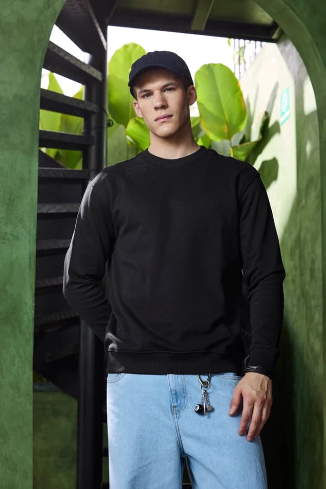 Regular Fit Cotton Solid Sweatshirts