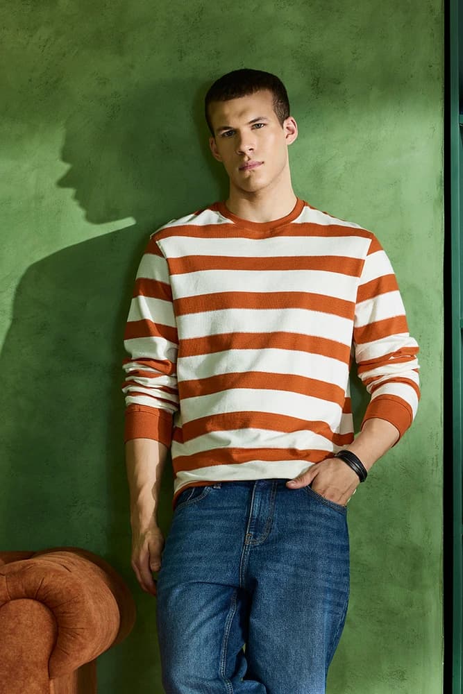 Slim Fit Cotton Stripes Sweaters