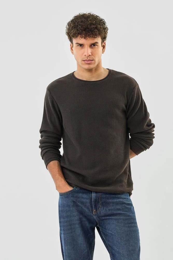 Regular Fit Cotton Textured Sweaters