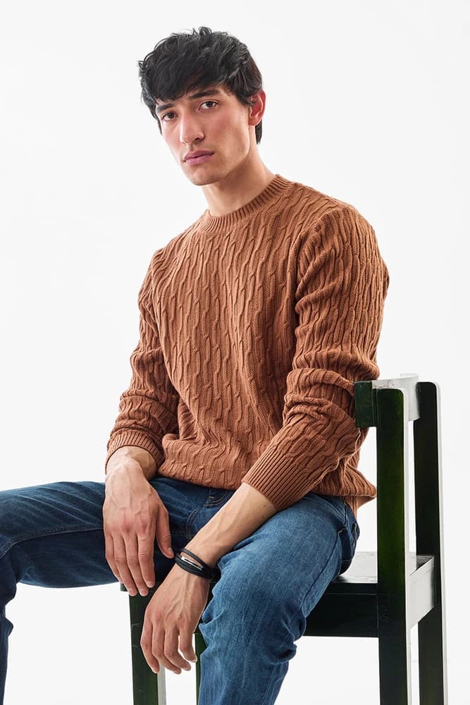 Regular Fit Others Textured Sweaters